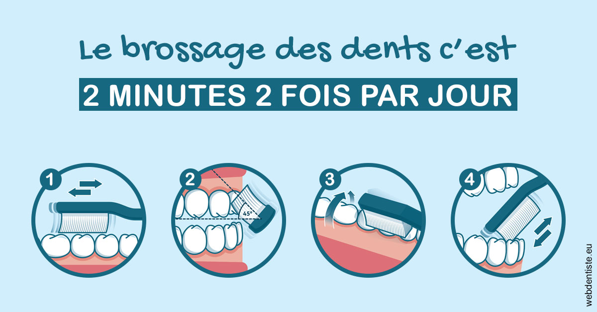 https://www.centredentairetoulon.fr/Les techniques de brossage des dents 1