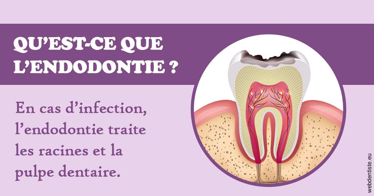 https://www.centredentairetoulon.fr/2024 T1 - Endodontie 02