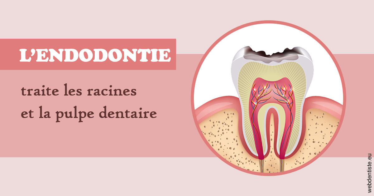 https://www.centredentairetoulon.fr/L'endodontie 2