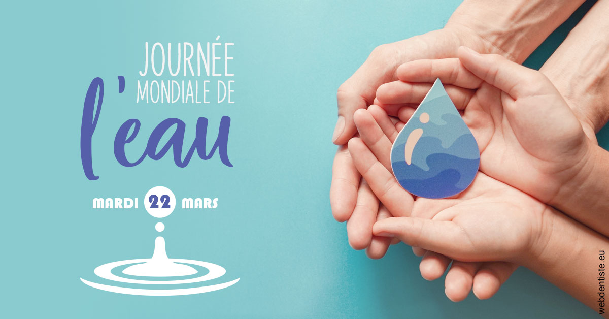 https://www.centredentairetoulon.fr/La journée de l'eau 1