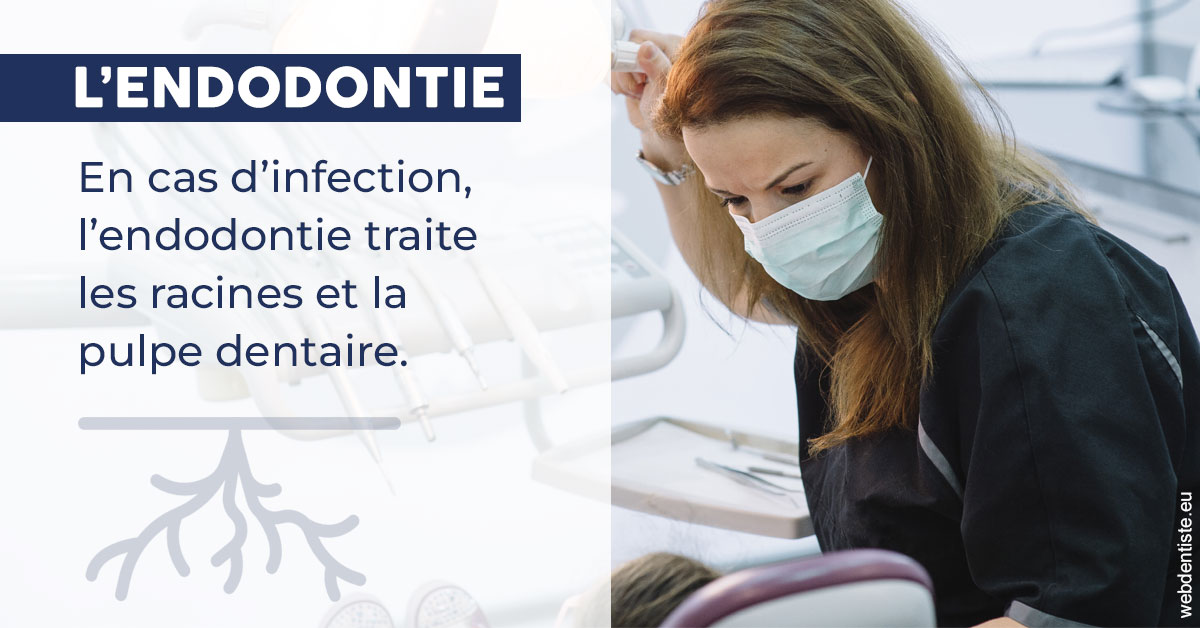 https://www.centredentairetoulon.fr/L'endodontie 1