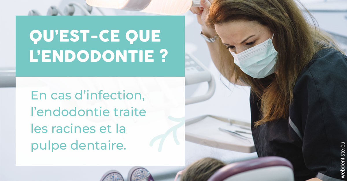 https://www.centredentairetoulon.fr/2024 T1 - Endodontie 01