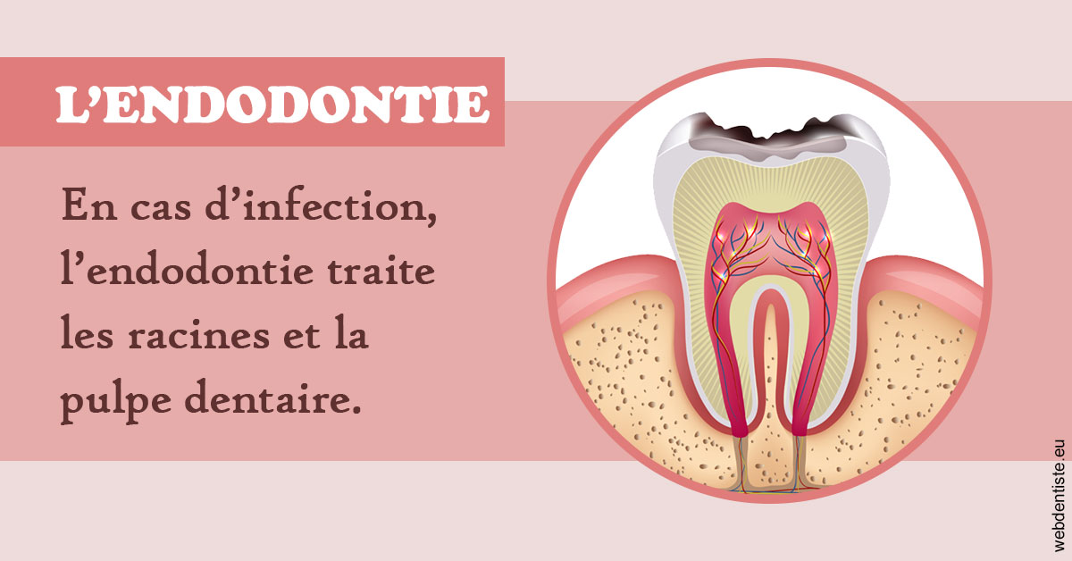 https://www.centredentairetoulon.fr/L'endodontie 2
